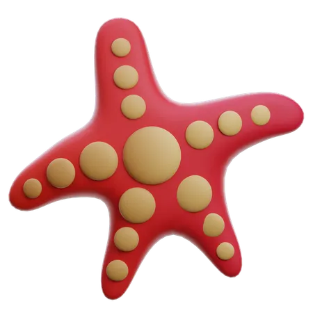 Estrella de mar  3D Icon