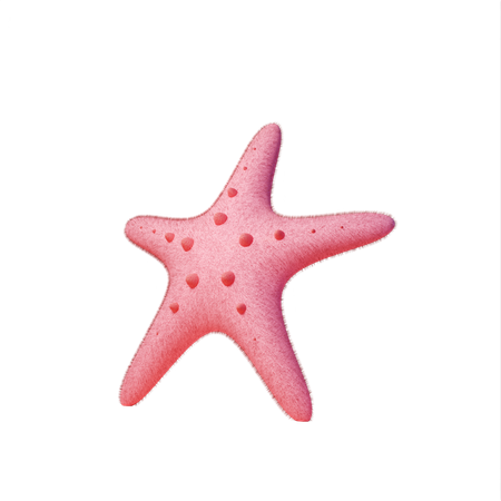 Estrella de mar  3D Icon