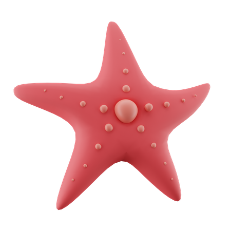 Estrella de mar  3D Icon