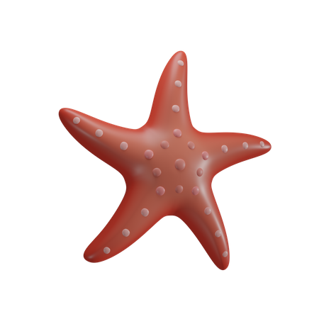 Estrella de mar  3D Icon