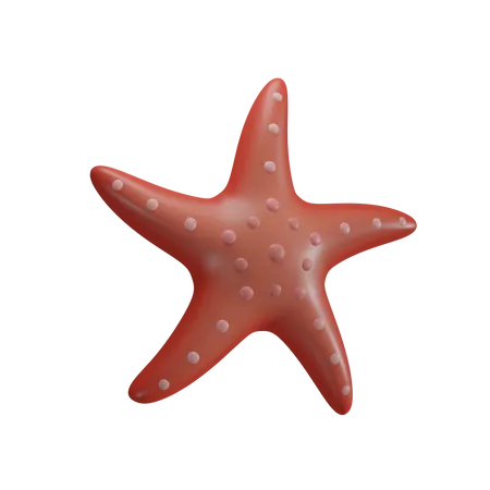 Estrella de mar  3D Icon