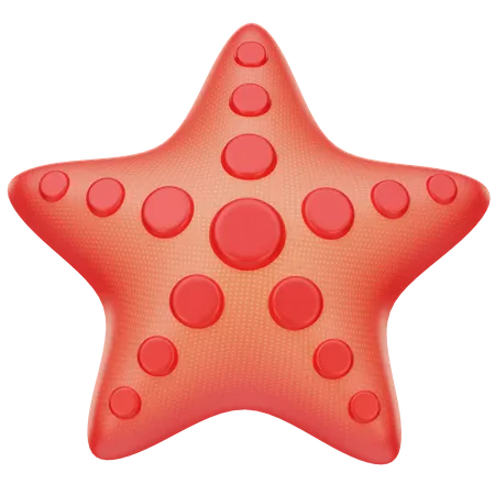 Estrella de mar  3D Icon