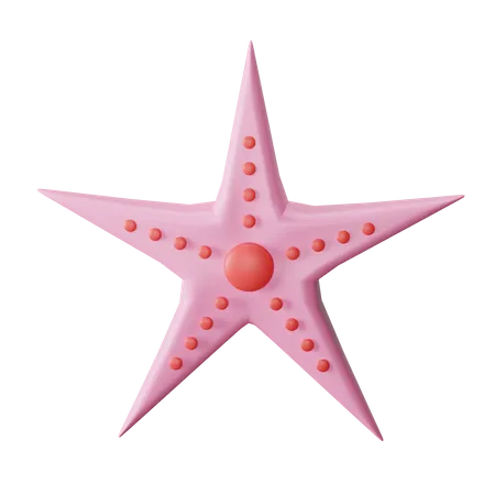 Estrella de mar  3D Icon