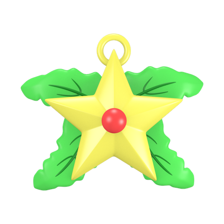 Estrella decorativa  3D Icon