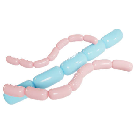 Estructura bacteriana del estreptobacilo  3D Icon