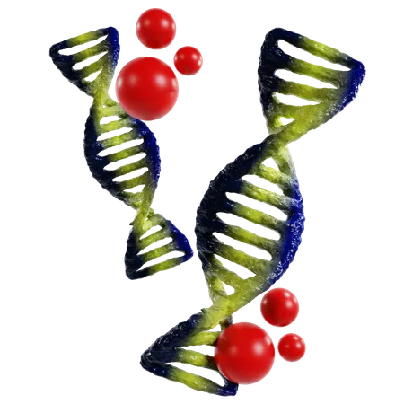 Estrutura de dupla hélice de DNA para pesquisa genética  3D Icon