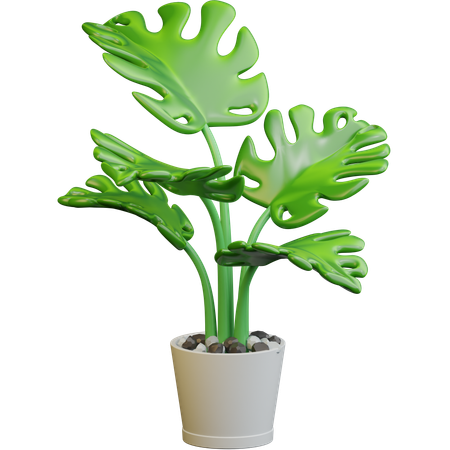 Plante au sol  3D Icon