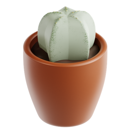 Cactus étoilé  3D Icon