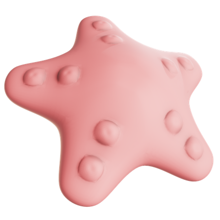 Étoile de mer  3D Icon