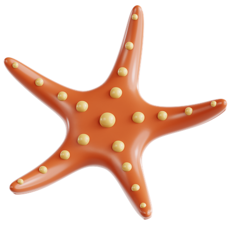 Étoile de mer  3D Icon