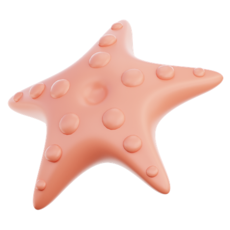 Étoile de mer  3D Icon