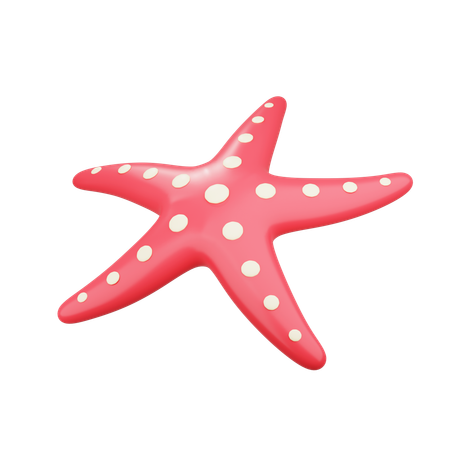 Étoile de mer  3D Icon