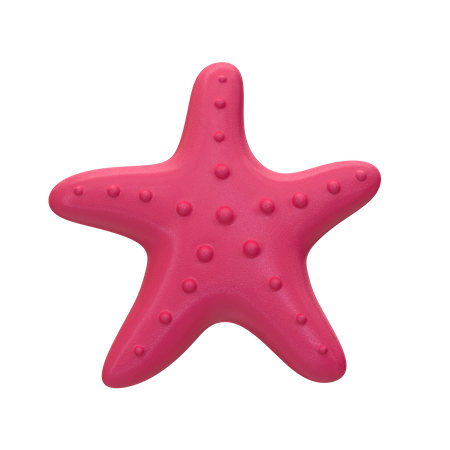 Étoile de mer  3D Icon