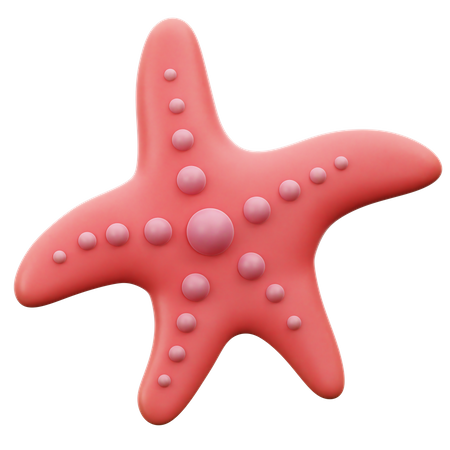 Étoile de mer  3D Icon
