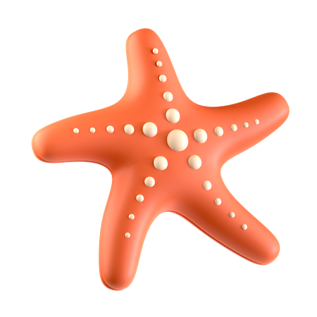 Étoile de mer  3D Icon