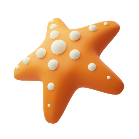Étoile de mer  3D Icon