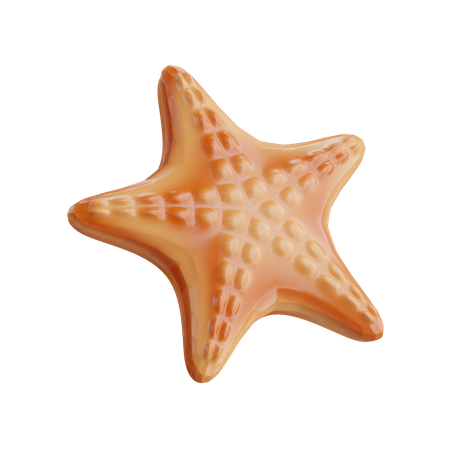 Étoile de mer  3D Icon