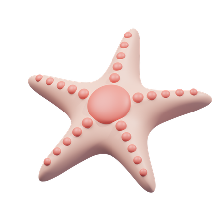 Étoile de mer  3D Icon