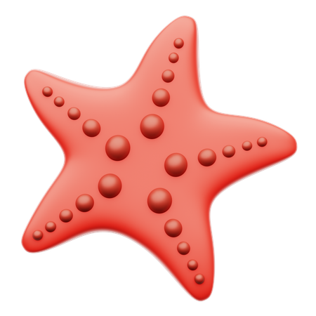 Étoile de mer  3D Icon