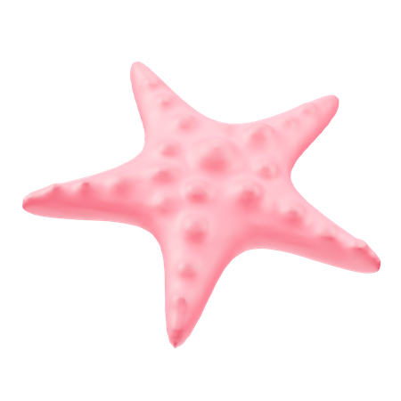 Étoile de mer  3D Icon