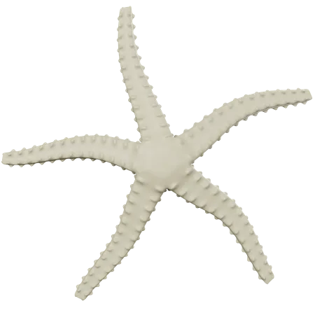 Étoile de mer  3D Icon