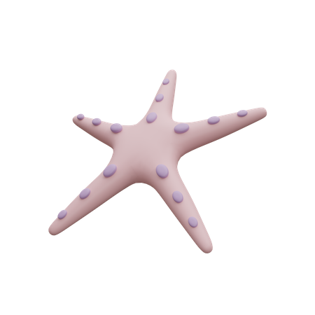 Étoile de mer  3D Icon