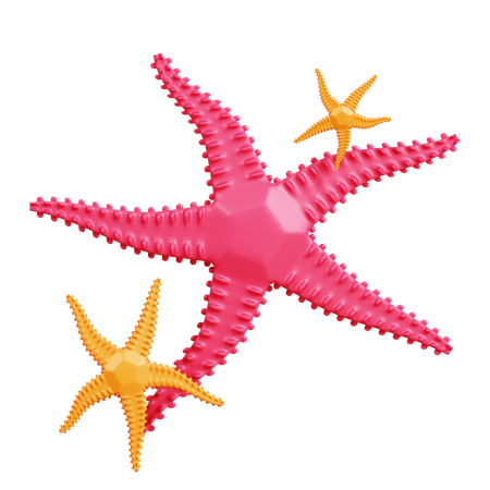 Étoile de mer  3D Icon