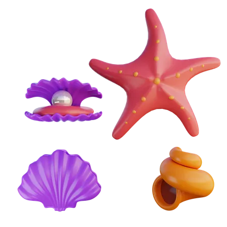 Étoile de mer  3D Icon