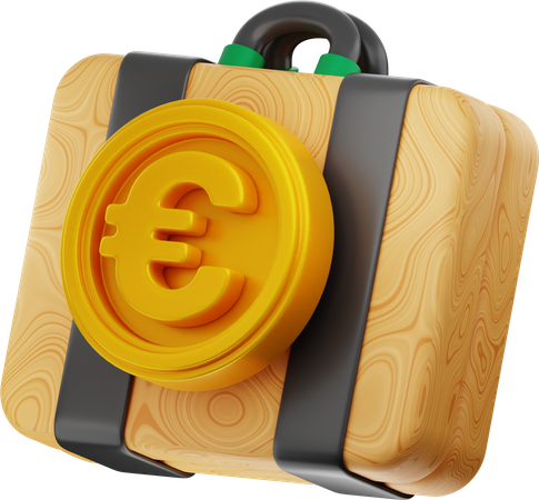 Euro Case  3D Icon
