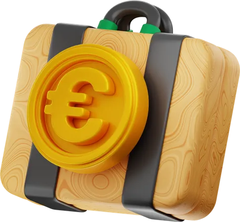 Caso do euro  3D Icon