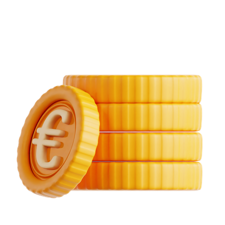 Euro Coin  3D Icon