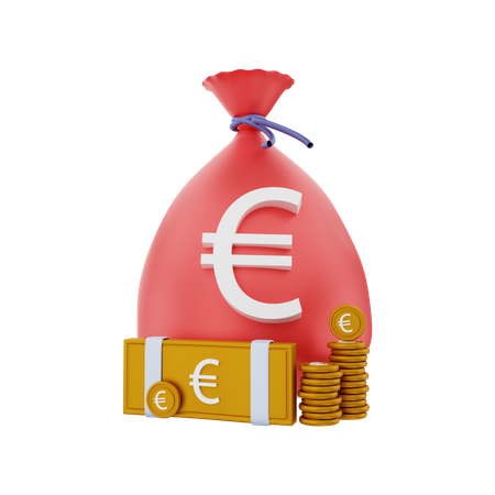 Euro money with a bag  3D Illustration