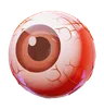 Eye