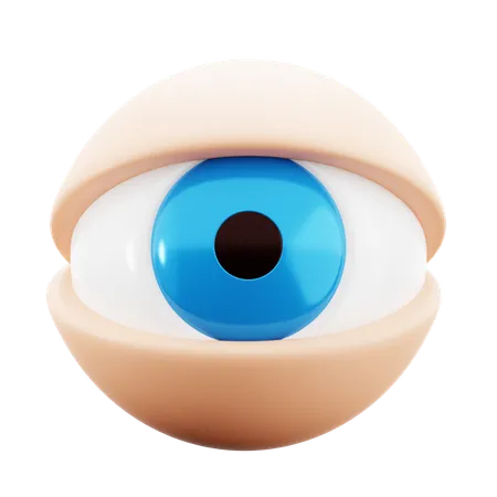 Eye Ball Human Body Vision Anatomy Medical Hospital 3 D Icon Illustration Render Design 3D Icon
