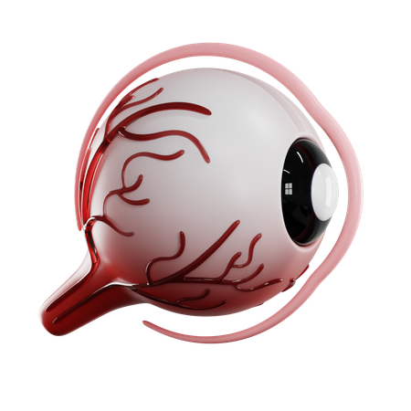 Eye Cornea  3D Icon