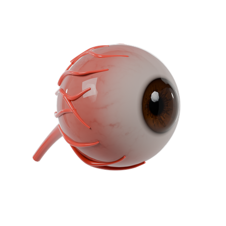 Eye Manusia  3D Icon