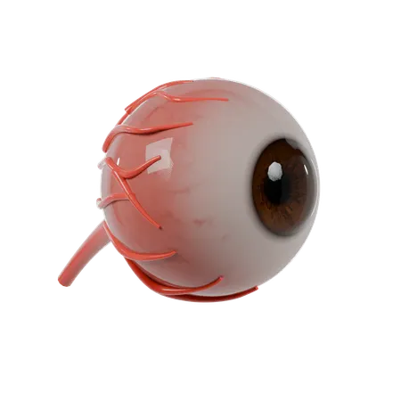 Eye Manusia  3D Icon