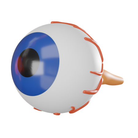 Eyeball  3D Icon