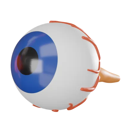 Eyeball  3D Icon