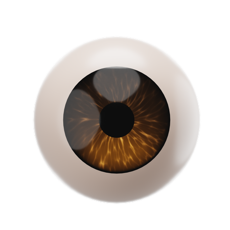 Eyeball  3D Icon