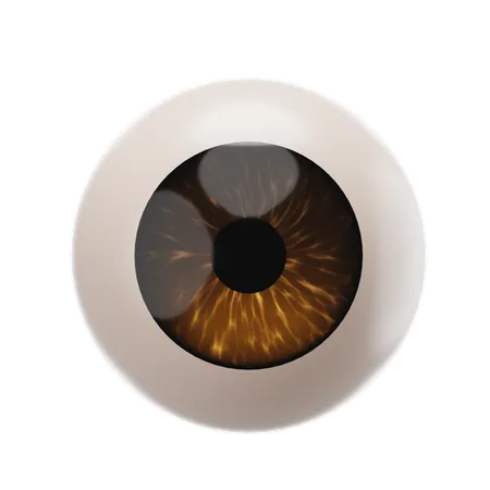 Eyeball  3D Icon