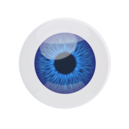 Eyeball  3D Icon