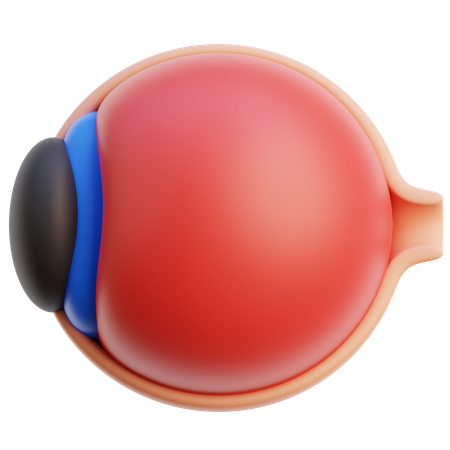 Eyeball Anatomy  3D Icon