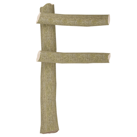 F  3D Icon