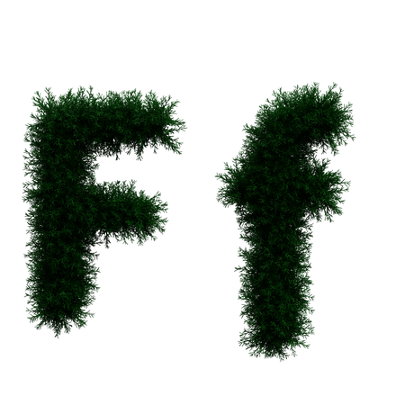 F  3D Icon