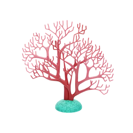 Coral leque  3D Icon