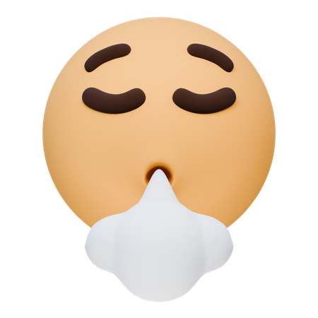 Face Exhaling  3D Icon