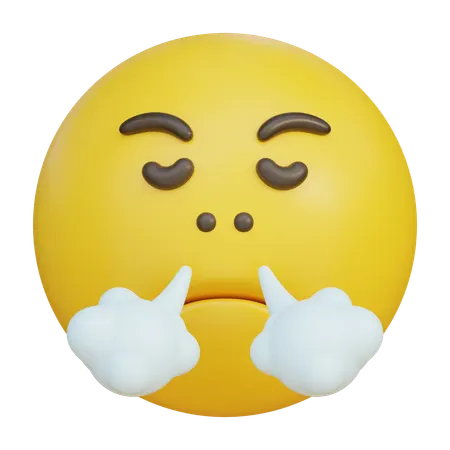 Face With Steam From Nose Emoji 3D Icon