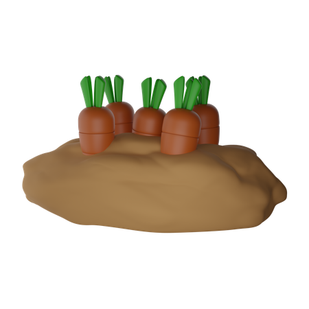 Faire pousser des carottes  3D Icon