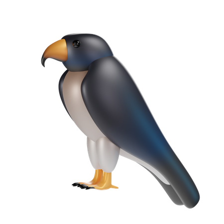 Falcon  3D Icon